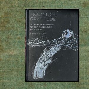Moonlight Gratitude by Emily Silva